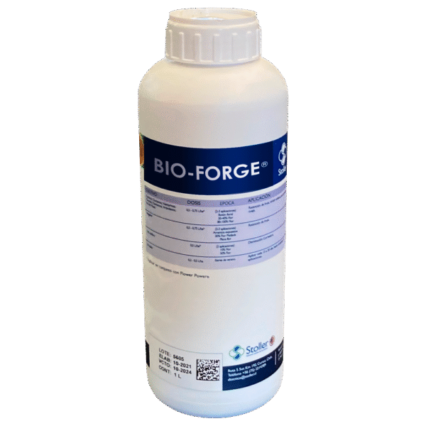 Bio Forge