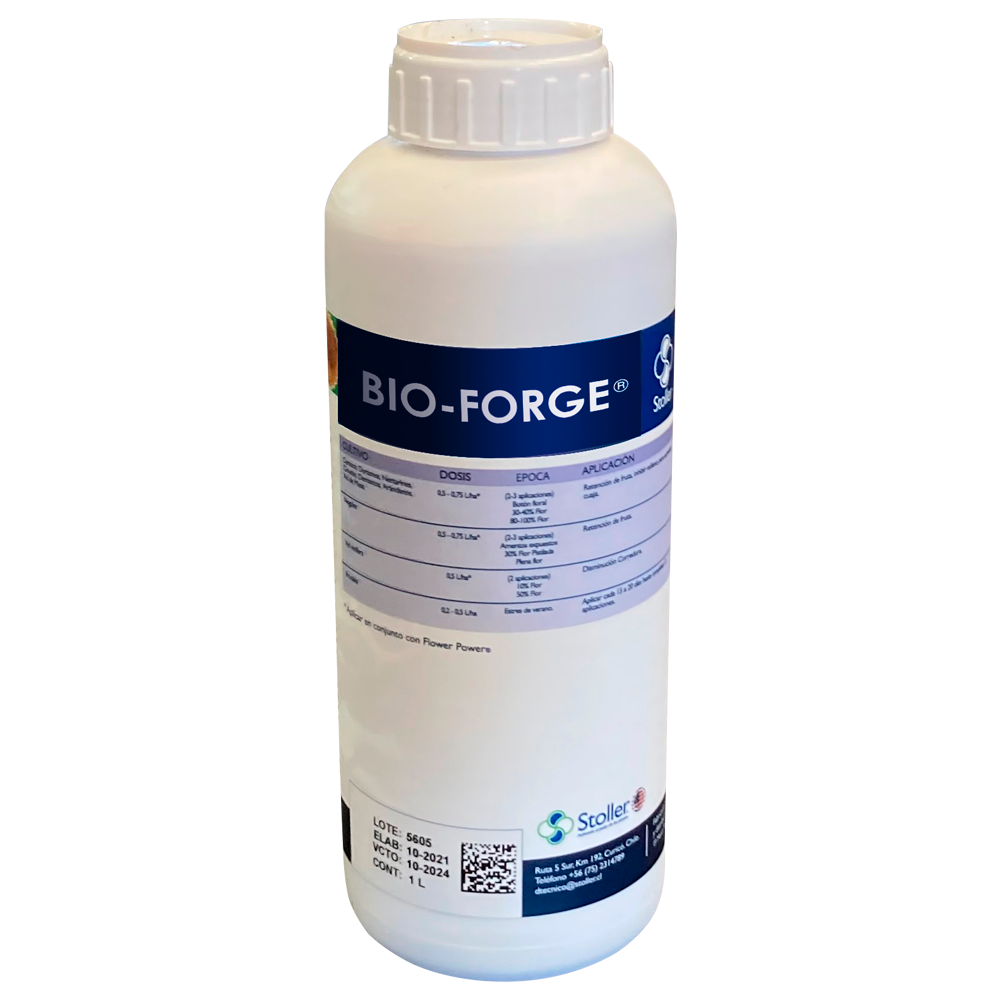 Bio Forge (copia)